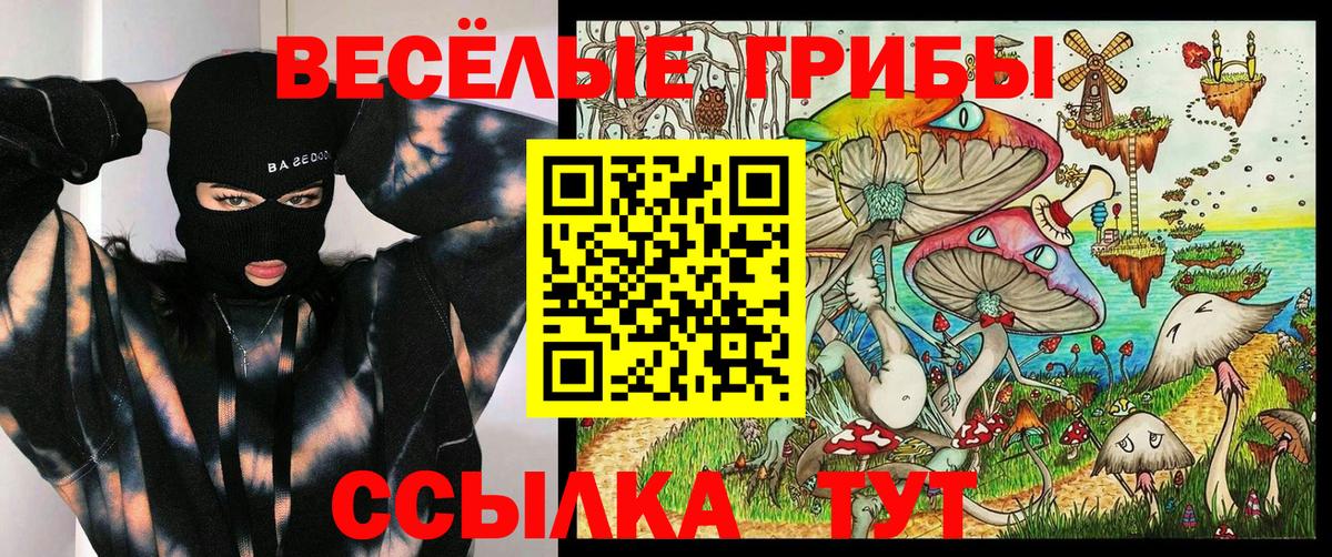 Псилоцибиновые грибы GOLDEN TEACHER Костомукша